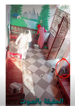 خدعة السوشيال ميديا ما بين الاصدقاء