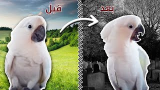 بالفيديو بغباء يسمع عذاب القبر