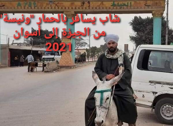 شاب من سوهاج يسافر بالحمار من الجيزة إلى أسوان ليروي لنا ماحدث معه