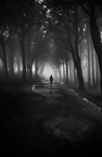 الفتاة الغامضة: ظاهرة غريبة تثير التساؤل في شوارع إنجلترا