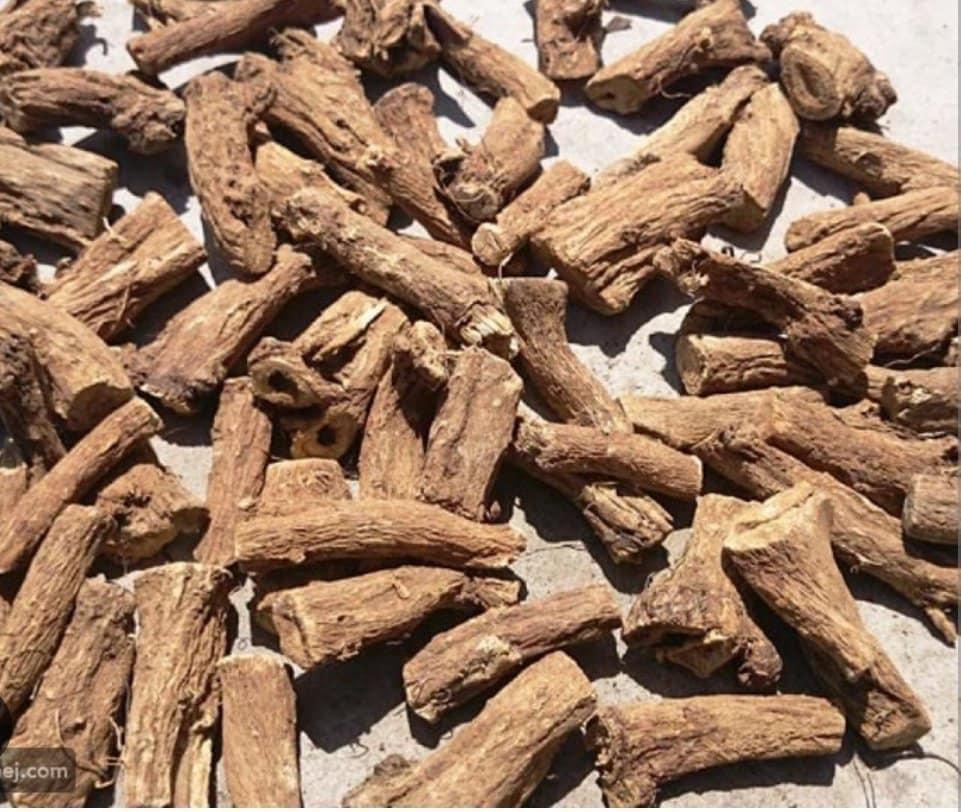 القسط الهندي هو وصية المصطفى ﷺ