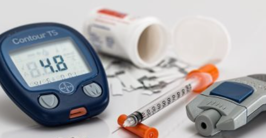 خفافيش الفاكهة قد تكون هي سر علاج مرض السكري