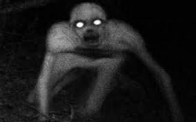 بالفيديو ظهور جن حقيقي