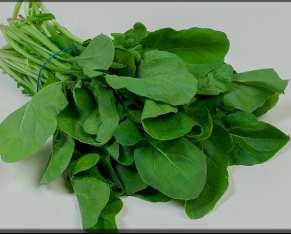 اعرفى فوائد الجرجير العديدة لصحه الجسم