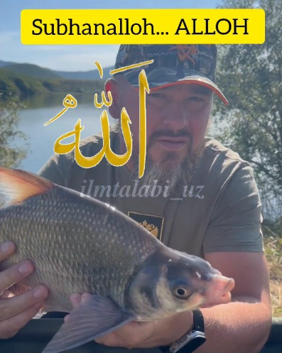 معجزات الله المستمرة في حياتنا اليوم…شاهد بالفيديو
