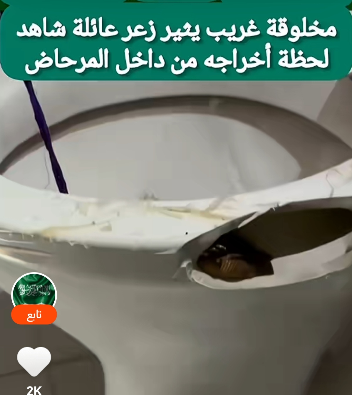 لماذا يجب أن تحمي منزلك من الحيوانات والآفات؟