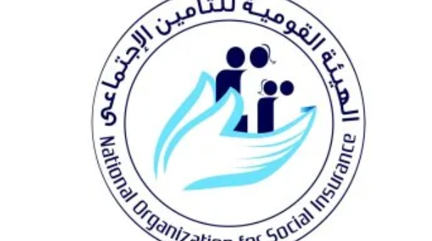 الرقم التأميني.. خطوات الاستعلام الإلكتروني بسهولة