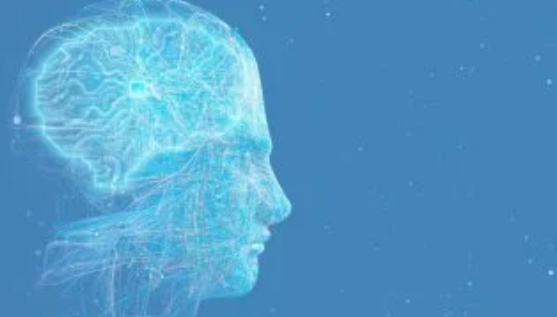 Gemini يتصدر تطبيقات الذكاء بجمع بيانات المستخدمين