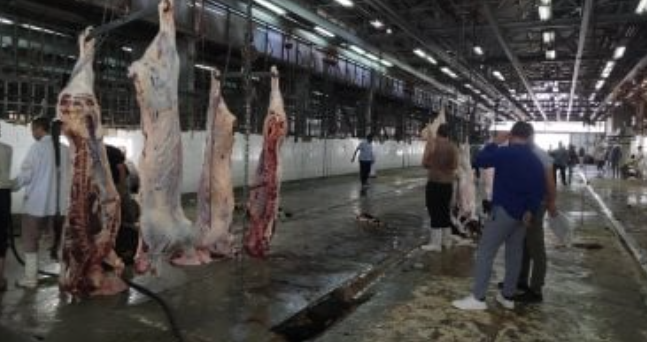 ذبح الأضاحي خارج المجازر يعرضك للحبس والغرامة