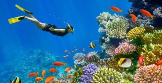 شرم الشيخ ضمن أجمل 20 وجهة سياحية عالمية