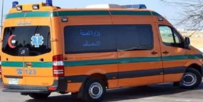 حادث ميكروباص أسوان يسفر عن مصرع طفل وإصابات