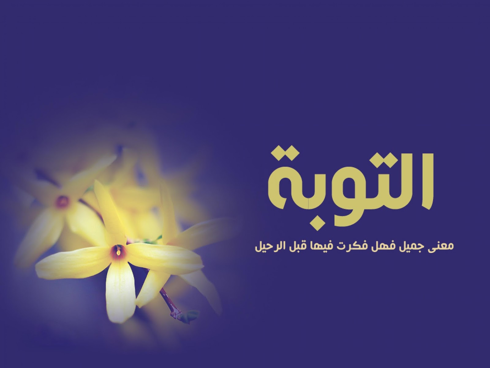 حين يلين القلب… لحظة التوبة التي تغيّر الحياة قبل فوات الآوان