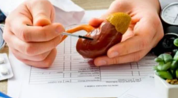 ابتكار كلية تناسب جميع فصائل الدم للزراعة