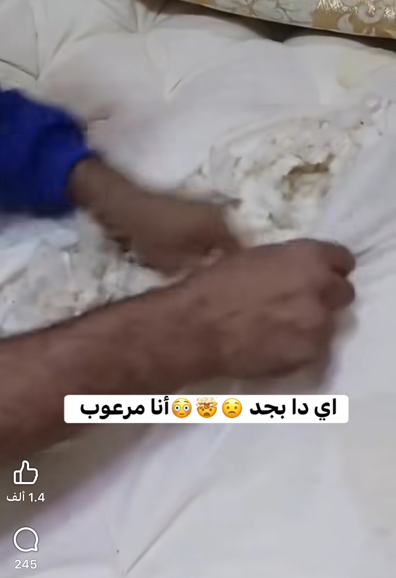 سرّ المرتبة المخبّأة… اكتشاف غير متوقع داخل شقة هادئة يثير الفضول دون صدمة