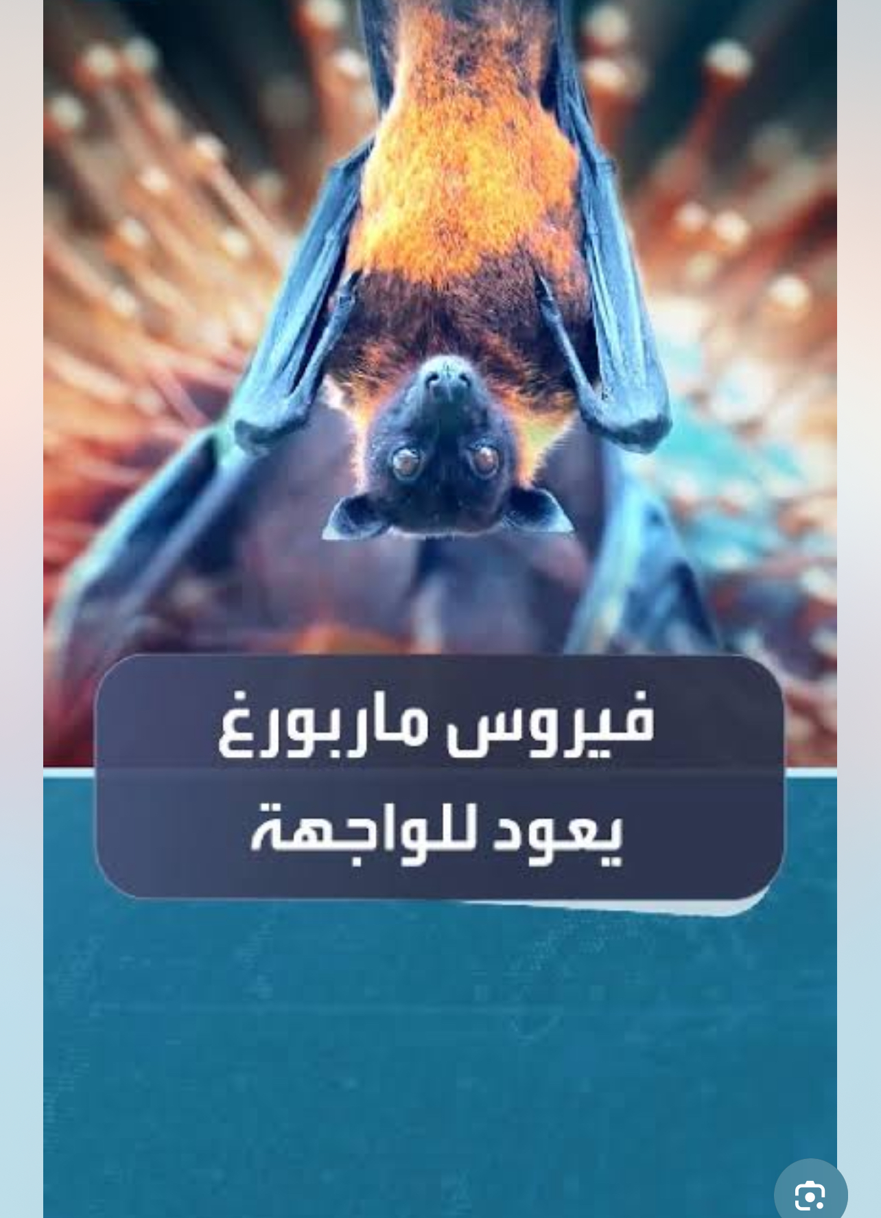 فيروس ماربورغ ينتشر في إثيوبيا.. ومصر تظل آمنة من أي إصابات