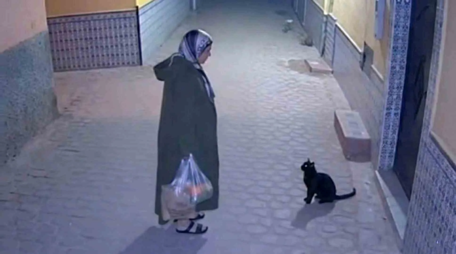 الجزاء لا يتأخر… لكنه يأتي في صمت