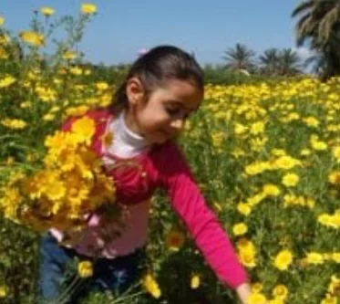 موعد الربيع ومواقيت وأطوال فصول السنة 2026 بالتفصيل