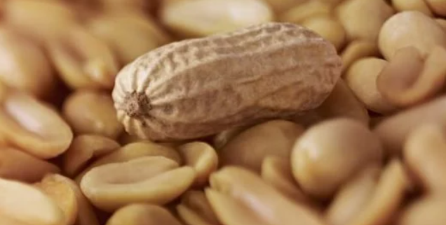 الفول السوداني أم البندق.. أيهما أفضل للكوليسترول؟