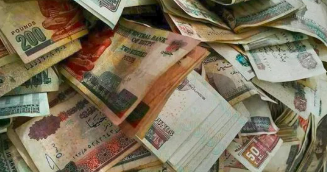 بوابة الموظف تكشف إجمالي المرتب والخصومات إلكترونيًا