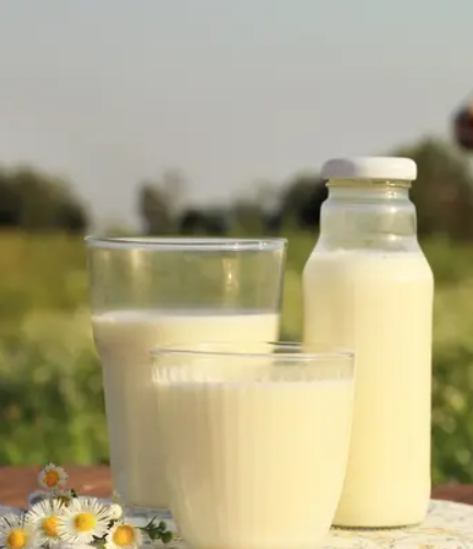 اليوم العالمي لهشاشة العظام.. هل الحليب يقوي العظام؟